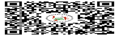 qr code web radio